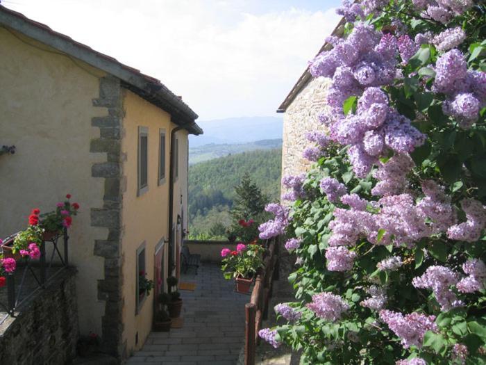 Borgo Tramonte Hotel Pratovecchio Eksteriør billede