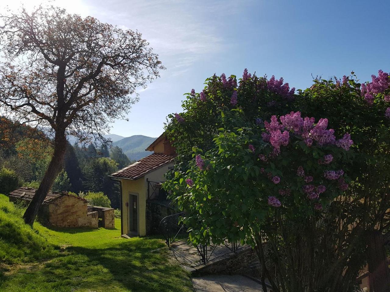 Borgo Tramonte Hotel Pratovecchio Eksteriør billede